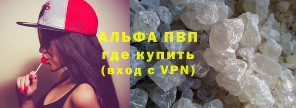 гидра Богданович