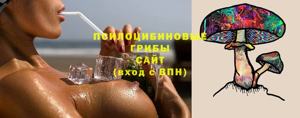 спайс Богородск