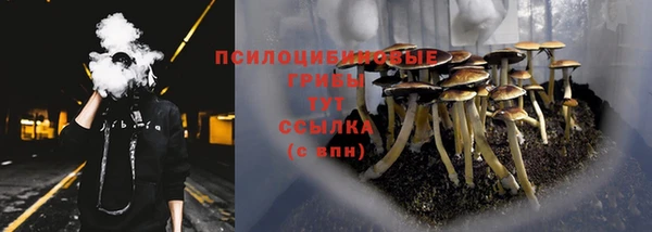 гидра Богданович