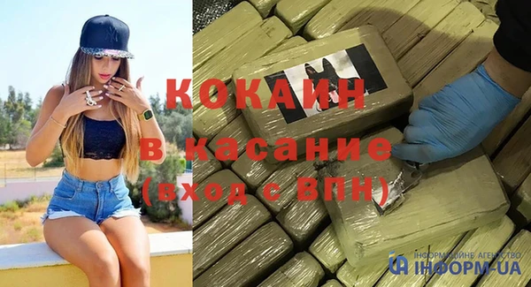 гидра Богданович