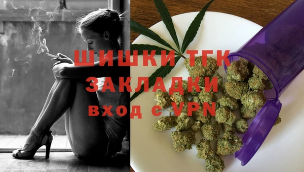 гидра Богданович