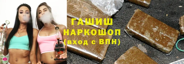 гидра Богданович
