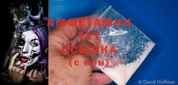 гидра Богданович