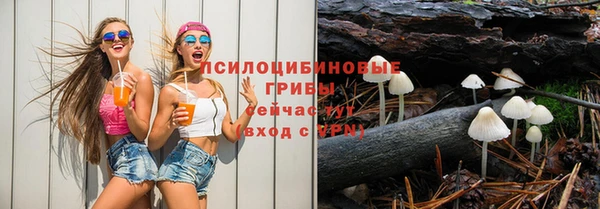 спайс Богородск